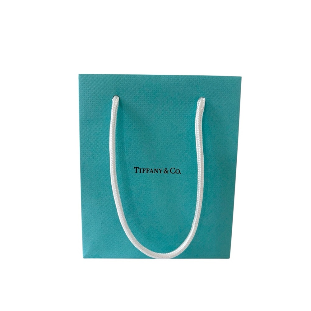 Tiffany & Co. Blue Gift Bag Shop Bag